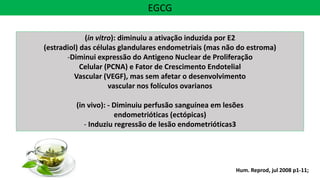 EGCG
(in vitro): diminuiu a ativação induzida por E2
(estradiol) das células glandulares endometriais (mas não do estroma)
-Diminui expressão do Antigeno Nuclear de Proliferação
Celular (PCNA) e Fator de Crescimento Endotelial
Vascular (VEGF), mas sem afetar o desenvolvimento
vascular nos folículos ovarianos
(in vivo): - Diminuiu perfusão sanguínea em lesões
endometrióticas (ectópicas)
- Induziu regressão de lesão endometrióticas3
Hum. Reprod, jul 2008 p1-11;
 