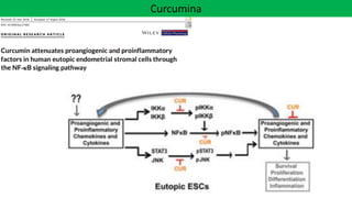 Curcumina
 