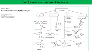 Inibidores da aromatase: Fitoterapia
 