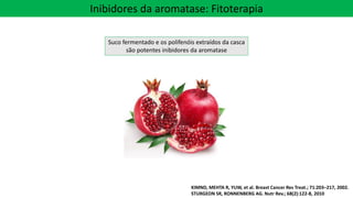 Inibidores da aromatase: Fitoterapia
Suco fermentado e os polifenóis extraídos da casca
são potentes inibidores da aromatase
KIMND, MEHTA R, YUW, et al. Breast Cancer Res Treat.; 71:203–217, 2002.
STURGEON SR, RONNENBERG AG. Nutr Rev.; 68(2):122-8, 2010
 