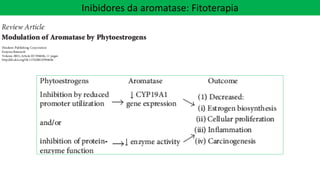 Inibidores da aromatase: Fitoterapia
 