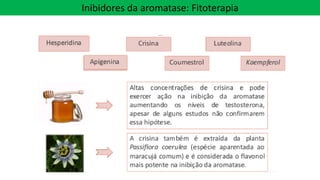 Inibidores da aromatase: Fitoterapia
 