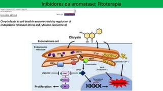 Inibidores da aromatase: Fitoterapia
 