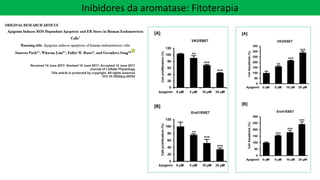 Inibidores da aromatase: Fitoterapia
 