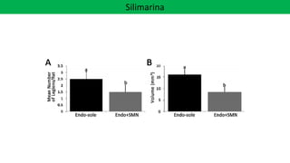 Silimarina
 