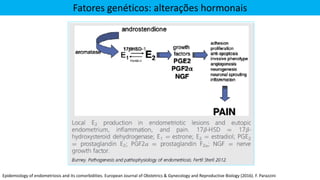 Fatores genéticos: alterações hormonais
Epidemiology of endometriosis and its comorbidities. European Journal of Obstetrics & Gynecology and Reproductive Biology (2016). F. Parazzini
 