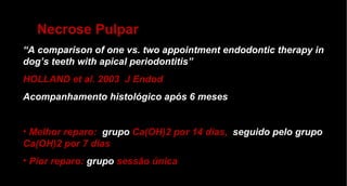 Necrose Pulpar “ A comparison of one vs. two appointment endodontic therapy in dog’s teeth with apical periodontitis”  HOLLAND et al. 2003  J Endod Acompanhamento histológico após 6 meses Melhor reparo:  grupo   Ca(OH)2 por 14 dias,  seguido pelo grupo   Ca(OH)2 por 7 dias Pior reparo:  grupo  sessão única 