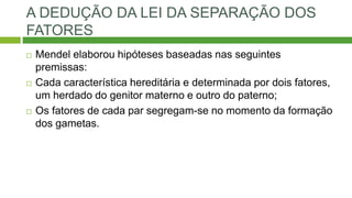 A DEDUÇÃO DA LEI DA SEPARAÇÃO DOS
FATORES
 Mendel elaborou hipóteses baseadas nas seguintes
premissas:
 Cada característica hereditária e determinada por dois fatores,
um herdado do genitor materno e outro do paterno;
 Os fatores de cada par segregam-se no momento da formação
dos gametas.
 