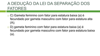 A DEDUÇÃO DA LEI DA SEPARAÇÃO DOS
FATORES
 C) Gameta feminino com fator para estatura baixa (a) é
fecundado por gameta masculino com fator para estatura alta
(A);
 D) gameta feminino com fator para estatura baixa (a) é
fecundado por gameta masculino com fator para estatura baixa
(a).
 