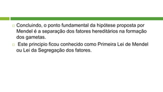  Concluindo, o ponto fundamental da hipótese proposta por
Mendel é a separação dos fatores hereditários na formação
dos gametas.
 Este principio ficou conhecido como Primeira Lei de Mendel
ou Lei da Segregação dos fatores.
 