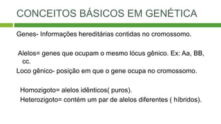 CONCEITOS BÁSICOS EM GENÉTICA
Genes- Informações hereditárias contidas no cromossomo.
Alelos= genes que ocupam o mesmo lócus gênico. Ex: Aa, BB,
cc.
Loco gênico- posição em que o gene ocupa no cromossomo.
Homozigoto= alelos idênticos( puros).
Heterozigoto= contém um par de alelos diferentes ( híbridos).
 