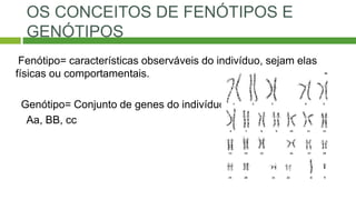 OS CONCEITOS DE FENÓTIPOS E
GENÓTIPOS
Fenótipo= características observáveis do indivíduo, sejam elas
físicas ou comportamentais.
Genótipo= Conjunto de genes do indivíduo
Aa, BB, cc
 