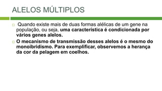 ALELOS MÚLTIPLOS
 Quando existe mais de duas formas alélicas de um gene na
população, ou seja, uma característica é condicionada por
vários genes alelos.
 O mecanismo de transmissão desses alelos é o mesmo do
monoibridismo. Para exemplificar, observemos a herança
da cor da pelagem em coelhos.
 