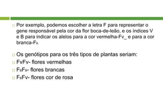  Por exemplo, podemos escolher a letra F para representar o
gene responsável pela cor da flor boca-de-leão, e os índices V
e B para indicar os alelos para a cor vermelha-Fv_ e para a cor
branca-FB.
 Os genótipos para os três tipos de plantas seriam:
 FvFv- flores vermelhas
 FBFB- flores brancas
 FBFv- flores cor de rosa
 