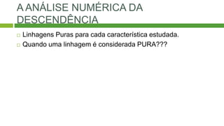 A ANÁLISE NUMÉRICA DA
DESCENDÊNCIA
 Linhagens Puras para cada característica estudada.
 Quando uma linhagem é considerada PURA???
 