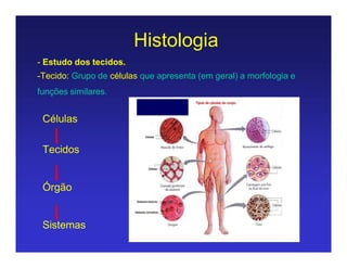 Histologia
- Estudo dos tecidos.
-Tecido: Grupo de células que apresenta (em geral) a morfologia e
funções similares.
Células
Tecidos
Órgão
Sistemas
 
