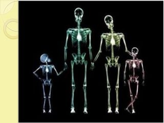 Aula de Equipamentos e Materiais Radiológicos