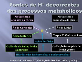 Alterações no pHAcúmulo de ácidosPerda de basesAumento da [H+]AcidoseQueda do pH7,4Escala de pHAlcaloseAumento do pHDiminuição da [H+]Perda de ácidosAcúmulo de bases