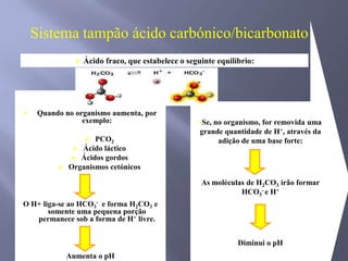 O pH do sangue venoso é ligeiramente mais baixo do que o do sangue arterial;