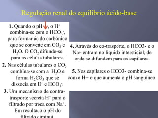 Assume também grande importância a nível do sistema renal. Sistema tampão usado para controlar o pH no sangue.SISTEMA TAMPÃO ÁCIDO                    CARBÔNICO-BICARBONATOH2CO3 / HCO3- : são um par ácido base conjugados.Equilíbrios importantes no sistema tampão ácido carbônico-bicarbonato:CO2: um gás que fornece um mecanismo para o corpo se ajustar aos equilíbrios.A remoção de CO2 por exalação desloca o equilíbrio  para a direita, consumindo íons H+.Quatro Alterações Principais do Equilíbrio Ácido-Base