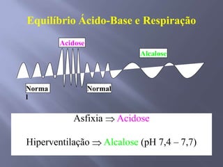 Asfixia Acidose
Hiperventilação Alcalose (pH 7,4 – 7,7)
Equilíbrio Ácido-Base e Respiração
Norma
l
Normal
Acidose
Alcalose
 