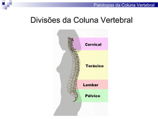 Divisões da Coluna Vertebral
Patologias da Coluna Vertebral
 