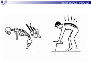 Hábitos Diários / Posturas
 