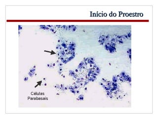 Proestro Aula er reprodutor feminino e masculino | PPT