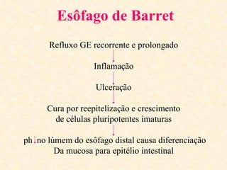Esôfago de Barret
      Refluxo GE recorrente e prolongado

                  Inflamação

                   Ulceração

      Cura por reepitelização e crescimento
        de células pluripotentes imaturas

ph no lúmem do esôfago distal causa diferenciação
        Da mucosa para epitélio intestinal
 