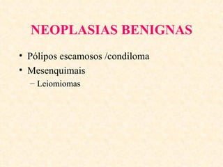NEOPLASIAS BENIGNAS
• Pólipos escamosos /condiloma
• Mesenquimais
  – Leiomiomas
 