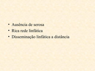 • Ausência de serosa
• Rica rede linfática
• Disseminação linfática a distância
 