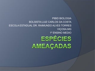 PIBID BIOLOGIA
BOLSISTA:LUIZ CARLOS DA COSTA
ESCOLA ESTADUAL DR. RAIMUNDO ALVES TORRES
VIÇOSA,MG
1º ENSINO MEDIO
 