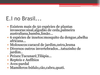 E.I no Brasil...
• Existem mais de 50 espécies de plantas
invasoras:sisal,algodão de ceda,palmeira
australiana,bambu,limão...
• 6 espécies de insetos:mosquito da dengue,abelha
africana...
• Molouscos:caracol de jardim,ostra,lesma
• Diversos outros invertebrados...tatuzinho de
jardim..
• Peixes:Tucunaré,Tilápia...
• Repteis e Anfíbios
• Aves:pardal
• Mamíferos:búfalo,cão,cabra,quati.
 