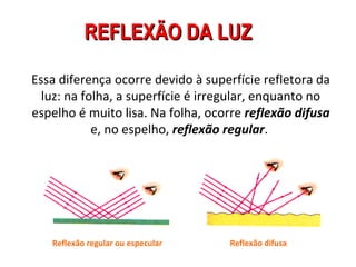 REFLEXÃO DA LUZ

Essa diferença ocorre devido à superfície refletora da
  luz: na folha, a superfície é irregular, enquanto no
espelho é muito lisa. Na folha, ocorre reflexão difusa
            e, no espelho, reflexão regular.




   Reflexão regular ou especular   Reflexão difusa
 