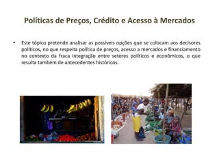 Políticas de Preços, Crédito e Acesso à Mercados
• Este tópico pretende analisar as possíveis opções que se colocam aos decisores
políticos, no que respeita política de preços, acesso a mercados e financiamento
no contexto da fraca integração entre setores políticos e econômicos, o que
resulta também de antecedentes históricos.
 