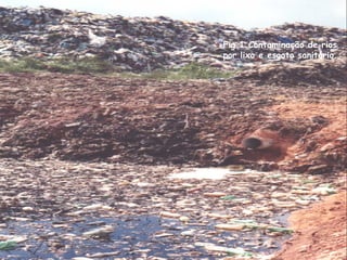 Fig.1 Contaminação de rios
por lixo e esgoto sanitário.
 