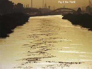 Fig.2 Rio Tietê
 