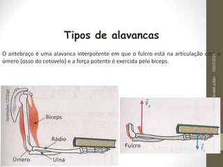 Tipos de alavancas
O antebraço é uma alavanca interpotente em que o fulcro está na articulação com o
úmero (osso do cotovelo) e a força potente é exercida pelo bíceps.
19/07/2023
Prof.
Wendell
Julião
 