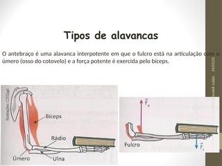Tipos de alavancas
O antebraço é uma alavanca interpotente em que o fulcro está na articulação com o
úmero (osso do cotovelo) e a força potente é exercida pelo bíceps.
24/03/25
Prof.
Wendell
Julião
 