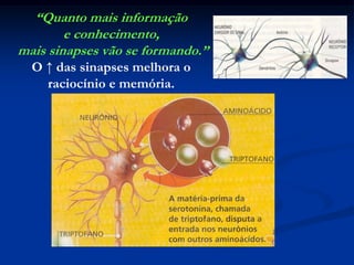 “Quanto mais informação e conhecimento, mais sinapses vão se formando.”O ↑ das sinapses melhora o raciocínio e memória.