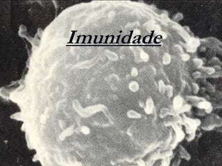 Imunidade
