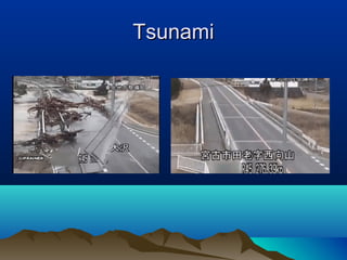 TsunamiTsunami
 