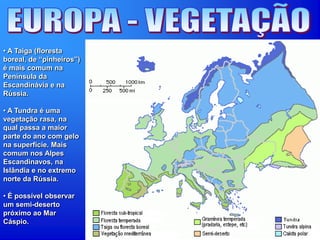 • A Taiga (floresta
boreal, de “pinheiros”)
é mais comum na
Península da
Escandinávia e na
Rússia.
• A Tundra é uma
vegetação rasa, na
qual passa a maior
parte do ano com gelo
na superfície. Mais
comum nos Alpes
Escandinavos, na
Islândia e no extremo
norte da Rússia.
• É possível observar
um semi-deserto
próximo ao Mar
Cáspio.
 