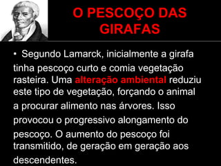 O PESCOÇO DAS
GIRAFAS
• Segundo Lamarck, inicialmente a girafa
tinha pescoço curto e comia vegetação
rasteira. Uma alteração ambiental reduziu
este tipo de vegetação, forçando o animal
a procurar alimento nas árvores. Isso
provocou o progressivo alongamento do
pescoço. O aumento do pescoço foi
transmitido, de geração em geração aos
descendentes.
 