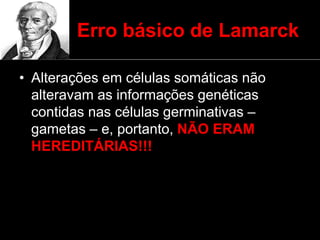 Erro básico de Lamarck
• Alterações em células somáticas não
alteravam as informações genéticas
contidas nas células germinativas –
gametas – e, portanto, NÃO ERAM
HEREDITÁRIAS!!!
 