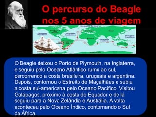 O percurso do Beagle
nos 5 anos de viagem
O Beagle deixou o Porto de Plymouth, na Inglaterra,
e seguiu pelo Oceano Atlântico rumo ao sul,
percorrendo a costa brasileira, uruguaia e argentina.
Depois, contornou o Estreito de Magalhães e subiu
a costa sul-americana pelo Oceano Pacífico. Visitou
Galápagos, próximo à costa do Equador e de lá
seguiu para a Nova Zelândia e Austrália. A volta
aconteceu pelo Oceano Índico, contornando o Sul
da África.
 