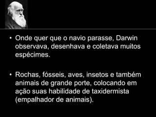 • Onde quer que o navio parasse, Darwin
observava, desenhava e coletava muitos
espécimes.
• Rochas, fósseis, aves, insetos e também
animais de grande porte, colocando em
ação suas habilidade de taxidermista
(empalhador de animais).
 