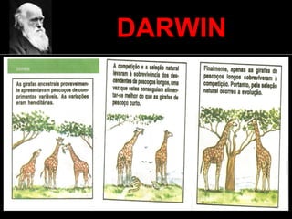 DARWIN
 