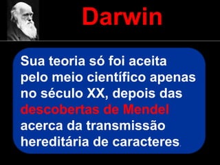 Darwin
Sua teoria só foi aceita
pelo meio científico apenas
no século XX, depois das
descobertas de Mendel
acerca da transmissão
hereditária de caracteres.
 