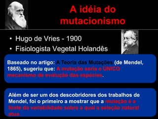 A idéia do
mutacionismo
• Hugo de Vries - 1900
• Fisiologista Vegetal Holandês
Baseado no artigo: A Teoria das Mutações (de Mendel,
1865), sugeriu que: A mutação seria o ÚNICO
mecanismo de evolução das espécies.
Além de ser um dos descobridores dos trabalhos de
Mendel, foi o primeiro a mostrar que a mutação é a
fonte da variabilidade sobre a qual a seleção natural
atua.
 